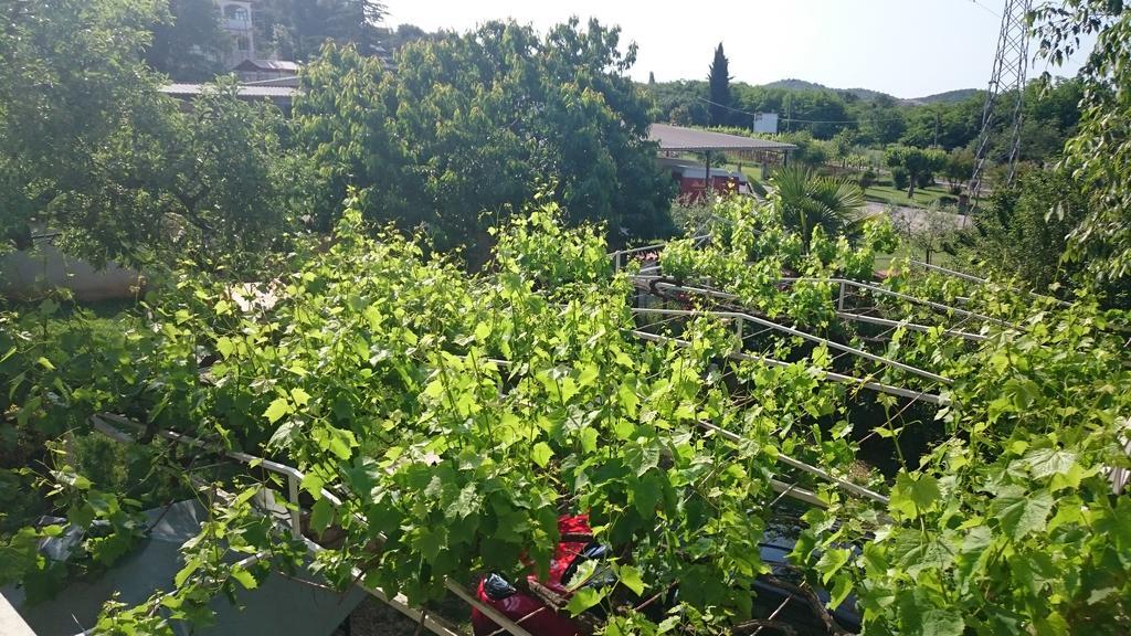 Apartments Sandra Πόρετς Εξωτερικό φωτογραφία